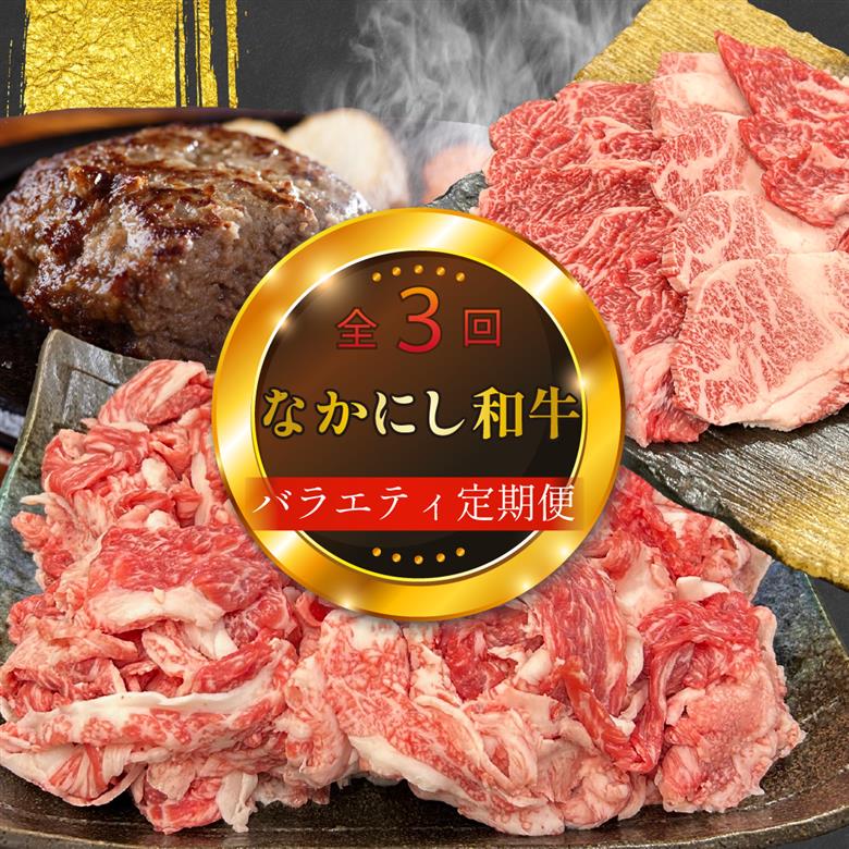 【定期便 全3回】宮崎県西ノ原牧場・なかにし和牛バラエティ定期便（牛肉 黒毛和牛 焼肉 小間切れ ハンバーグ 定期便） ３回定期