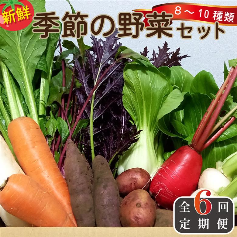 【定期便 全6回】季節の野菜詰め合わせセット（新鮮 採れたて 野菜 セット 定期便 詰め合わせ 宮崎県） 6回定期