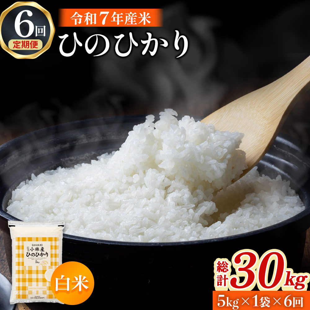 【定期便 全6回】令和7年産米 ヒノヒカリ 5kg×6回 計30kg（お米 米 新米 ヒノヒカリ 国産 人気 お弁当 宮崎県 小林市） 5kg×6回