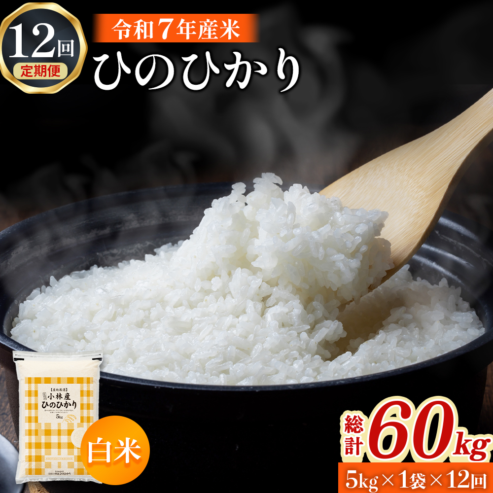 【定期便 全12回】令和7年産米 ヒノヒカリ 5kg×12回 計60kg（お米 米 新米 ヒノヒカリ 国産 人気 お弁当 宮崎県 小林市） 5kg×12回