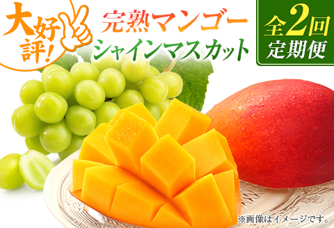 【定期便・全2回】完熟マンゴーとシャインマスカット定期便（マンゴー 完熟マンゴー アップルマンゴー ブドウ ぶどう マスカット 定期便）