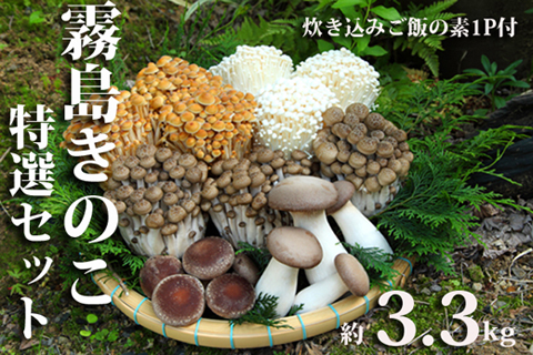 【農場直送】もぎたて霧島きのこと炊き込みご飯の素セット 約3.3kg（えのき茸 エリンギ ブナしめじ しめじ やしゃ茸 生きのこ 農場直送）