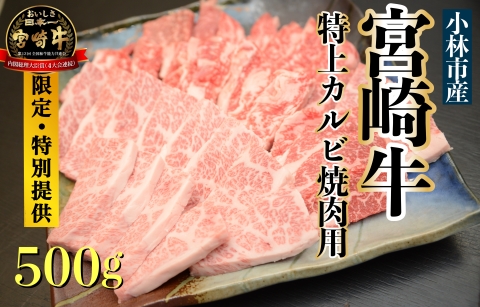 [直売・特別提供品]A5等級 小林市産宮崎牛特上カルビ焼肉用 500g(国産 牛肉 国産牛 和牛 黒毛和牛 宮崎牛 カルビ 上カルビ 焼肉)