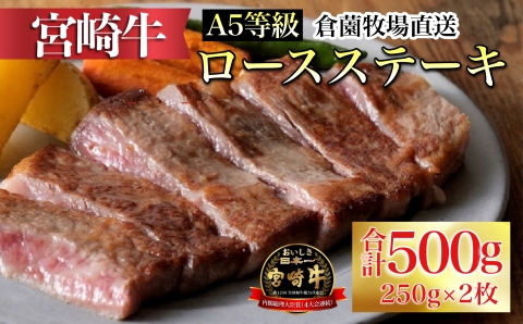 [百名店の味をご自宅で!]A5等級 宮崎牛ロースステーキ 250g×2枚(牛肉 黒毛和牛 ブランド牛 ステーキ 内閣総理大臣賞)