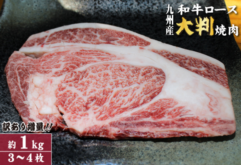 [1月1日から寄付額改定][訳あり増量!]九州産和牛ロース大判焼肉1kg(国産 牛肉 黒毛和牛 焼肉 BBQ 訳あり 真空パック 冷凍)
