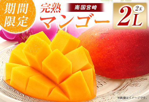 【令和8年発送 先行予約】完熟マンゴー 2L×2玉（フルーツ マンゴー 完熟マンゴー アップルマンゴー 果物 くだもの 先行受付）