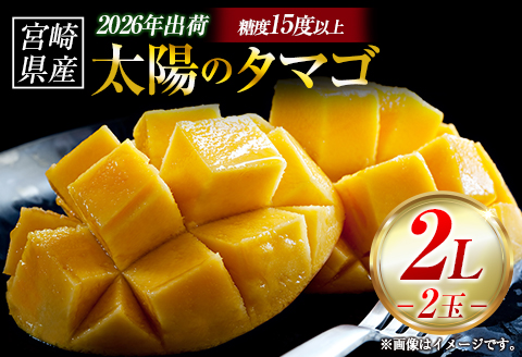 【令和8年発送 先行予約】完熟マンゴー「太陽のタマゴ」 2L×2玉（フルーツ マンゴー 完熟マンゴー アップルマンゴー 果物 くだもの 先行受付）