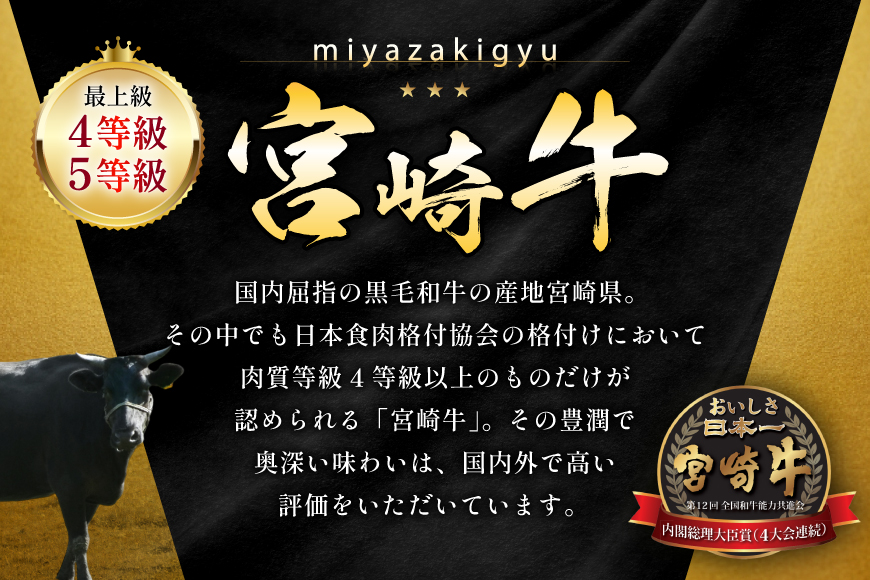 ※廃番※牛肉 宮崎牛 カルビ 焼肉用 500g 2p 計 1kg [ローカルブランディング 宮崎県 日向市 452061414] 冷凍 小分け 黒毛和牛 黒毛 A4 A5 焼肉 焼き肉 BBQ バーベキュー 国産