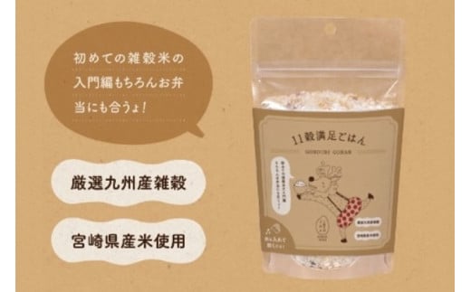 米 無洗米 11穀満足ごはん ごほうびごはん 250g×4 計 1kg [DANBO*DELI 宮崎県 日向市 452060022] 小分け 国産 ブレンド米 雑穀米 こめ コメ 雑穀