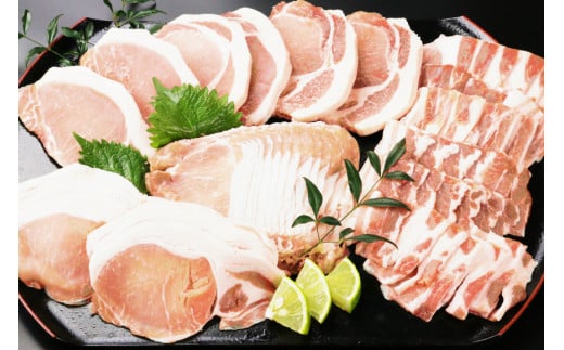 日向豚 盛りだくさんセット 1.5kg [JAみやざき 日向肉豚部会 宮崎県 日向市 452060632] 肉 豚肉 豚 ロース バラ しゃぶしゃぶ とんかつ トンカツ