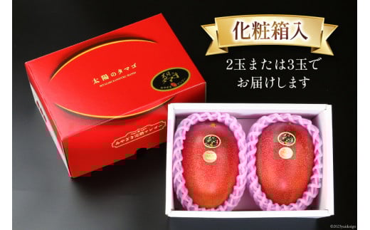 【2026年夏発送】 宮崎 完熟 マンゴー 太陽のタマゴ 秀品 900g以上 [宮崎県農業協同組合日向地区本部（販売課） 宮崎県 日向市 452060664] 果物 フルーツ 完熟マンゴー 甘い 日向 期間限定 冷蔵