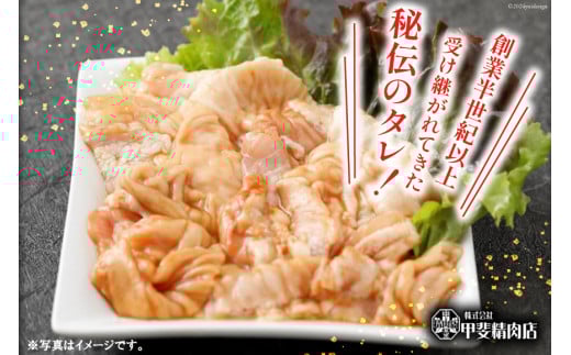 九州産 味付け肉 豚ホルモン 300g×5 計1.5kg [甲斐精肉店 宮崎県 日向市 452060706] 肉 お肉 豚肉 豚ホル 味付き 焼肉 BBQ 冷凍