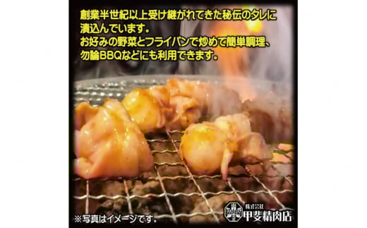 九州産 味付 牛ホルモン 300g×10袋 計3kg [甲斐精肉店 宮崎県 日向市 452060712] 肉 お肉 味付け肉 牛 味付き 焼肉 肉 冷凍 牛肉 焼くだけ ホルモン 九州産 国産 BBQ