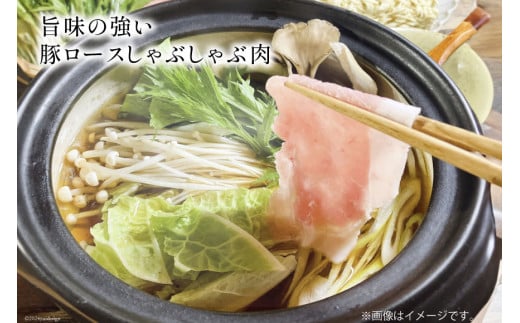 豚肉 しゃぶしゃぶ ロース 300g×5袋 計1.5kg [甲斐精肉店 宮崎県 日向市 452060719] 肉 お肉 精肉 豚 豚ロース 宮崎 国産 スライス 小分け 真空 冷凍
