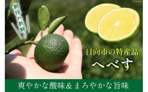 【期間限定発送】 へべす ひなたGAP認定 ふぞろい 2kg [へべすの悠美園 宮崎県 日向市 452060725] ヘベス 宮崎 果物 フルーツ くだもの 柑橘 ポン酢 調味料 果汁