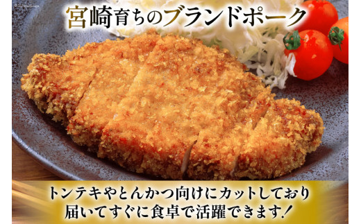 豚肉 小分け 宮崎ブランドポーク ロース トンテキ とんかつ カット 1kg [ウィズ・クリエイティブ 宮崎県 日向市 452060771] 冷凍 豚 個包装 トンカツ 真空 宮崎