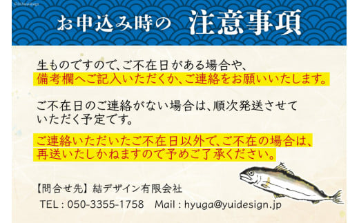 【期間限定発送】 鮎 こだわりの生鮎 約1kg [株式会社 あゆの是則 宮崎県 日向市 452060793] あゆ アユ 魚 魚介 川魚 塩焼き 甘露煮 冷蔵 生あゆ 子持ち鮎