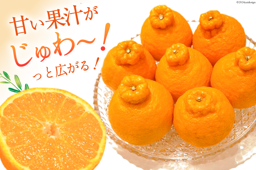 【期間限定発送】じゅわーっと甘い 不知火 約3kg（ハウス栽培・化粧箱入り） [たけちゃん農園 宮崎県 日向市 452060822] 果物 フルーツ 柑橘類