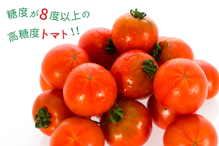 【期間限定発送】 トマト SUNすいーと 1.5kg×1箱 [にいな農園 宮崎県 日向市 452060918] 野菜 フルーツトマト 高糖度 甘い
