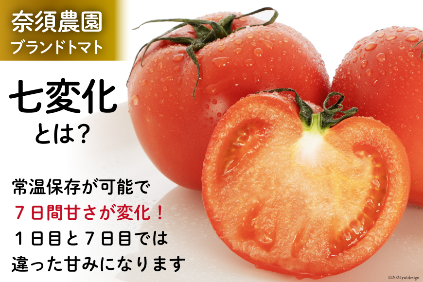 【期間限定発送】 トマト こだわりのホントに美味しい 高糖度トマト 1.5kg [奈須農園 宮崎県 日向市 452060934] 野菜 とまと ソプラノ 高糖度 甘い 産地直送 不揃い 家庭用