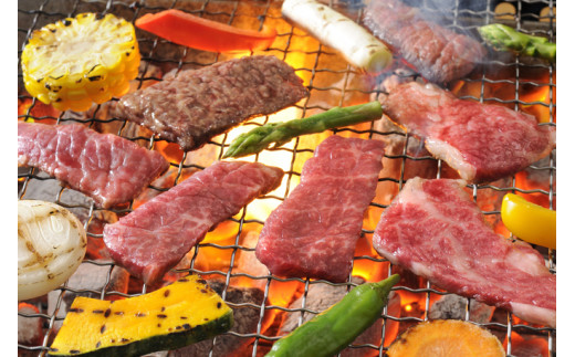 牛肉 宮崎牛 A4 A5 等級 牛肩 焼肉 400g [日本ハムマーケティング 宮崎県 日向市 452060963] スライス 冷凍 バーベキュー 牛 肉 宮崎