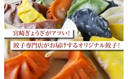 宮崎餃子 バラエティーセット 彩り・白・へべす 各15個 計45個 [餃子の里 宮崎県 日向市 452060985] 惣菜 餃子 ぎょうざ ギョウザ 専門店 食べ比べ 詰め合わせ セット 冷凍