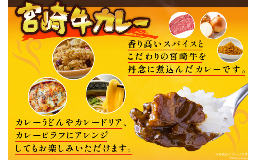 カレー レトルト 宮崎牛カレー 160g×12食 [九州産商 宮崎県 日向市 452061047] 詰め合わせ 小分け ビーフカレー 宮崎 牛 常備食 保存食 中辛 宮崎牛 防災 備蓄