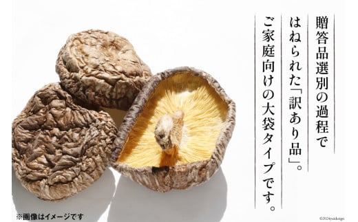 訳あり しいたけ 乾燥 原木乾燥しいたけ 500g [浜辺しいたけ 宮崎県 日向市 452061051] 椎茸 原木 干ししいたけ