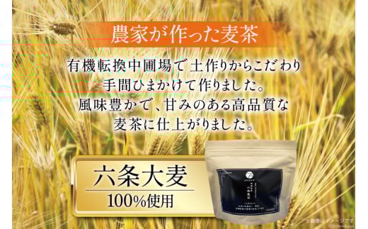 お茶 六条麦茶 10g 20包 [日向百生会 宮崎県 日向市 452061129] 麦茶 むぎ茶 水出し 煮出し ティーバッグ 国産 ノンカフェイン