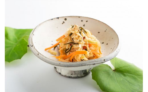 千切り大根 (切り干し大根) 100g×10袋 [山商幸産 宮崎県 日向市 452061168] 切り干し 大根 国産 野菜 切干大根 切干