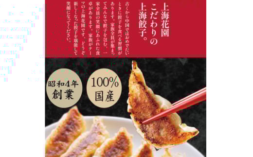 餃子 宮崎 上海花園 特製餃子 36個 [サニーガーデン 宮崎県 日向市 452061171] ぎょうざ 冷凍 おかず おつまみ 惣菜 ご飯のお供 小分け 個包装