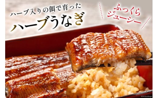 うなぎ ハーブ うなぎ蒲焼 4〜5尾 計500g 以上 タレ 山椒 付き [鰻楽 宮崎県 日向市 452061199] セット 鰻楽 宮崎県産 真空パック 国産 蒲焼き ウナギ 鰻 長蒲焼 冷凍