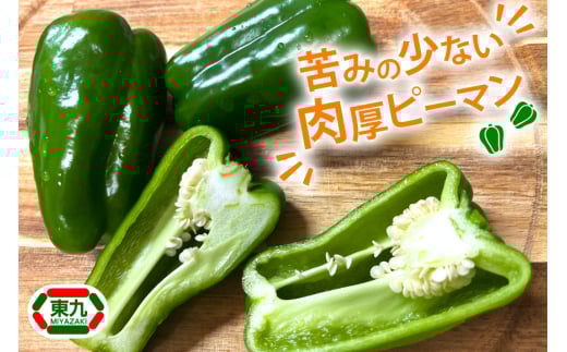 【期間限定発送】 ピーマン 宮崎県産ピーマン 2kg [東九農園 宮崎県 日向市 452061218] 宮崎 パリパリ 野菜 やさい サラダ 新鮮 BBQ