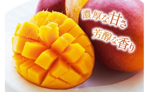 【期間限定発送】 マンゴー 宮崎県産 完熟マンゴー 3L 以上 1玉 [日向サンパーク 宮崎県 日向市 452061246] 宮崎 果物 フルーツ 甘い