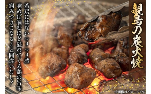 鶏 炭火焼き 柚子こしょう味 100g 12p 計1.2kg [カンショク 宮崎県 日向市 452061283] 炭火焼 鶏肉 親鳥 柚子こしょう ゆずこしょう 柚子胡椒