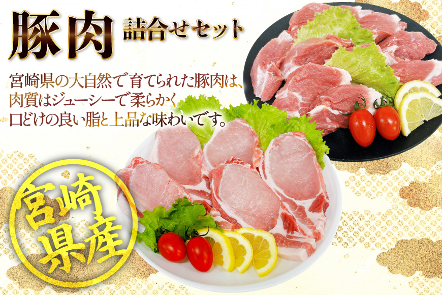 豚肉 宮崎県産豚肉 ロースカツ用 1kg ヒレカツ用 300g 詰め合わせ セット [TRINITY 宮崎県 日向市 452061324] 小分け 冷凍 豚 とんかつ ロースカツ お弁当 おかず