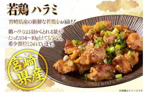 鶏肉 はらみ 宮崎県産 若鶏 ハラミ 300g 10p 計 3kg セット [TRINITY 宮崎県 日向市 452061343] 小分け 真空パック 小肉 鶏小肉 サガリ 貝の身