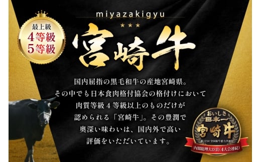 牛肉 宮崎牛 牛すじ 1kg [ローカルブランディング 宮崎県 日向市 452061404] 冷凍 黒毛和牛 黒毛 A4 A5 国産 牛筋