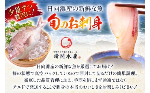 刺身 柵 旬のお刺身 3ケ月 定期便 2魚種 食べ比べ [請関水産 宮崎県 日向市 452061456] 冷蔵 詰め合わせ ぶり ヒラメ ひらめ 真鯛 鯛 マダイ タイ カンパチ かんぱち しまあじ サーモン 鮭