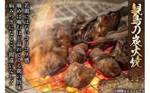 鶏 炭火焼き 柚子こしょう味 100g 6袋 計600g [カンショク 宮崎県 日向市 452061465] 炭火焼 鶏肉 親鳥 柚子こしょう ゆずこしょう 柚子胡椒