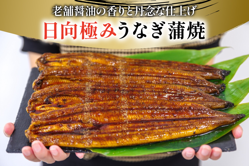 うなぎ 国産 日向極み うなぎ蒲焼 4尾 計480g以上 【たれ・山椒付き】 [日向サンパーク 宮崎県 日向市 452061501] ギフト 小分け 真空パック 鰻 ウナギ うなぎの蒲焼 蒲焼 蒲焼き