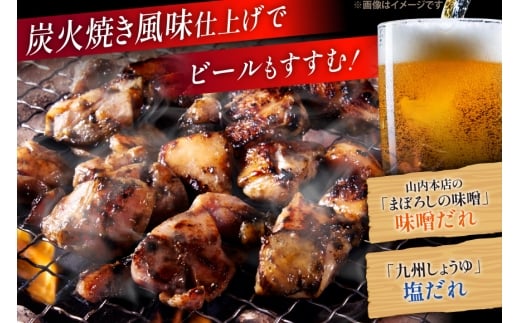 【新登場】 炭火焼鳥 炭火焼風やきとり 生タイプ 塩だれ 味噌だれ 各200g×5p 計10P [日本ハムマーケティング 宮崎県 日向市 452061511] 鶏もも 鶏 宮崎 おつまみ 酒のアテ 炭火焼 炭火焼き やきとり
