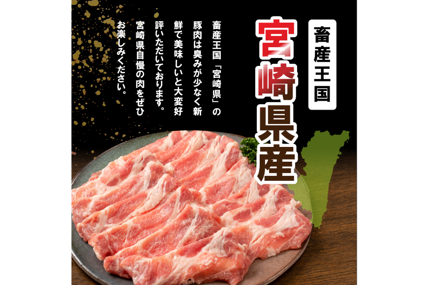 豚肉 詰め合わせ 宮崎県産豚肉 バラエティ セット 4種 3kg [南九フーズ 宮崎県 日向市 452061517] バラ 切り落とし しゃぶしゃぶ ロース スライス 豚こま 小間切れ ミンチ ひき肉