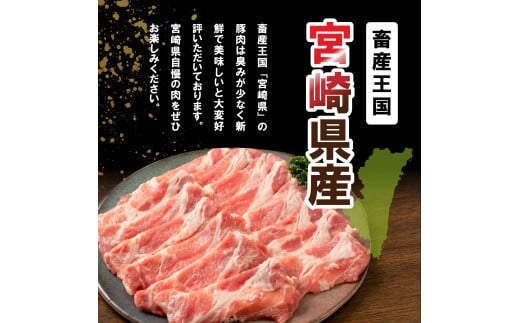 豚肉 宮崎県産豚肉 バラエティ セット 計4.5kg [南九フーズ 宮崎県 日向市 452061538] こま ミンチ 挽肉 ロース とんかつ しゃぶしゃぶ 生姜焼き 小分け