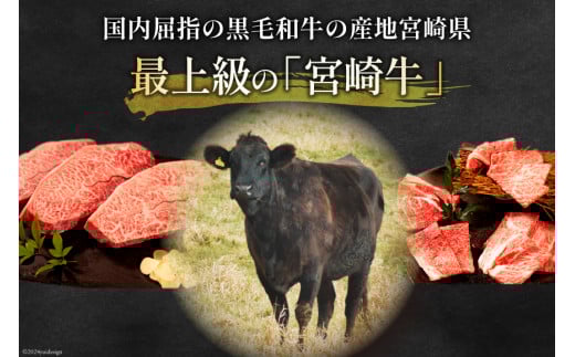 牛肉 宮崎牛 肩ロース焼肉 ミスジステーキ 計750g [ミヤチク 宮崎県 日向市 452061581] 肉 肩 ロース ミスジ ステーキ 冷凍