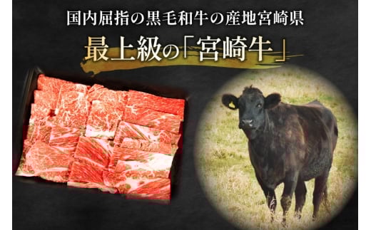 【畜産農家応援】 牛肉 焼肉 宮崎牛 ウデ 焼肉用 500g [ ミヤチク 宮崎県 日向市 452061598] 冷凍 内閣総理大臣賞 焼き肉 牛ウデ ウデ肉 黒毛 和牛 黒毛和牛 国産 国産牛肉 アウトドア BBQ キャンプ