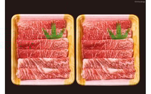 牛肉 宮崎牛 A4 A5 等級 モモ・バラ すき焼き 600g [日本ハムマーケティング 宮崎県 日向市 452061599] 小分け スライス 冷凍 牛もも 牛バラ 牛 肉 宮崎