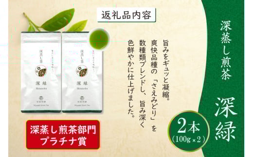 お茶 緑茶 深蒸し煎茶 深緑 100g×2本 [谷岩茶舗 宮崎県 日向市 452061605] セット 小分け 茶葉 プラチナ賞