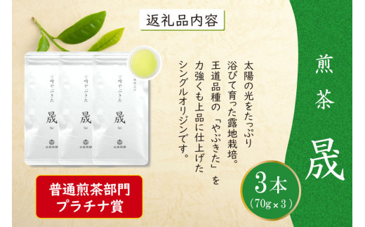 お茶 緑茶 煎茶 晟 70g×3本 [谷岩茶舗 宮崎県 日向市 452061612] セット 緑茶 やぶきた プラチナ賞 日本茶