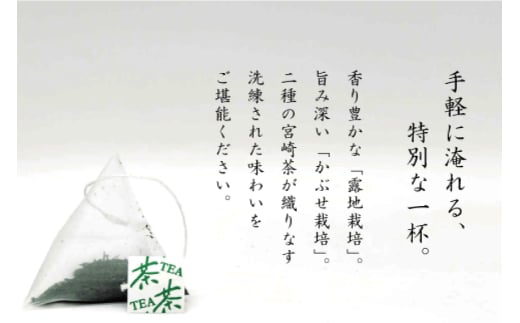 お茶 プレミアム ティーバッグ 露ぶせ 3g 12個 [谷岩茶舗 宮崎県 日向市 452061617] ティーパック 茶 緑茶 日本茶